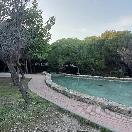 Casa *