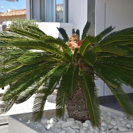 Casa Apartment Torrevieja