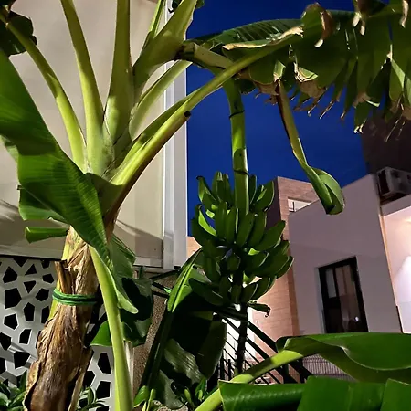 Casa * Torrevieja